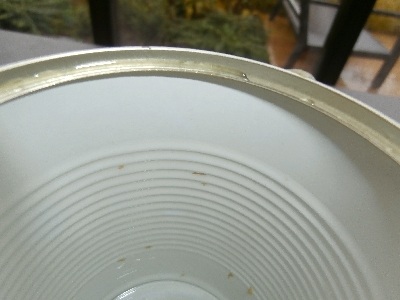 Deze witte binnenbekleding van een blik bevat BPA.