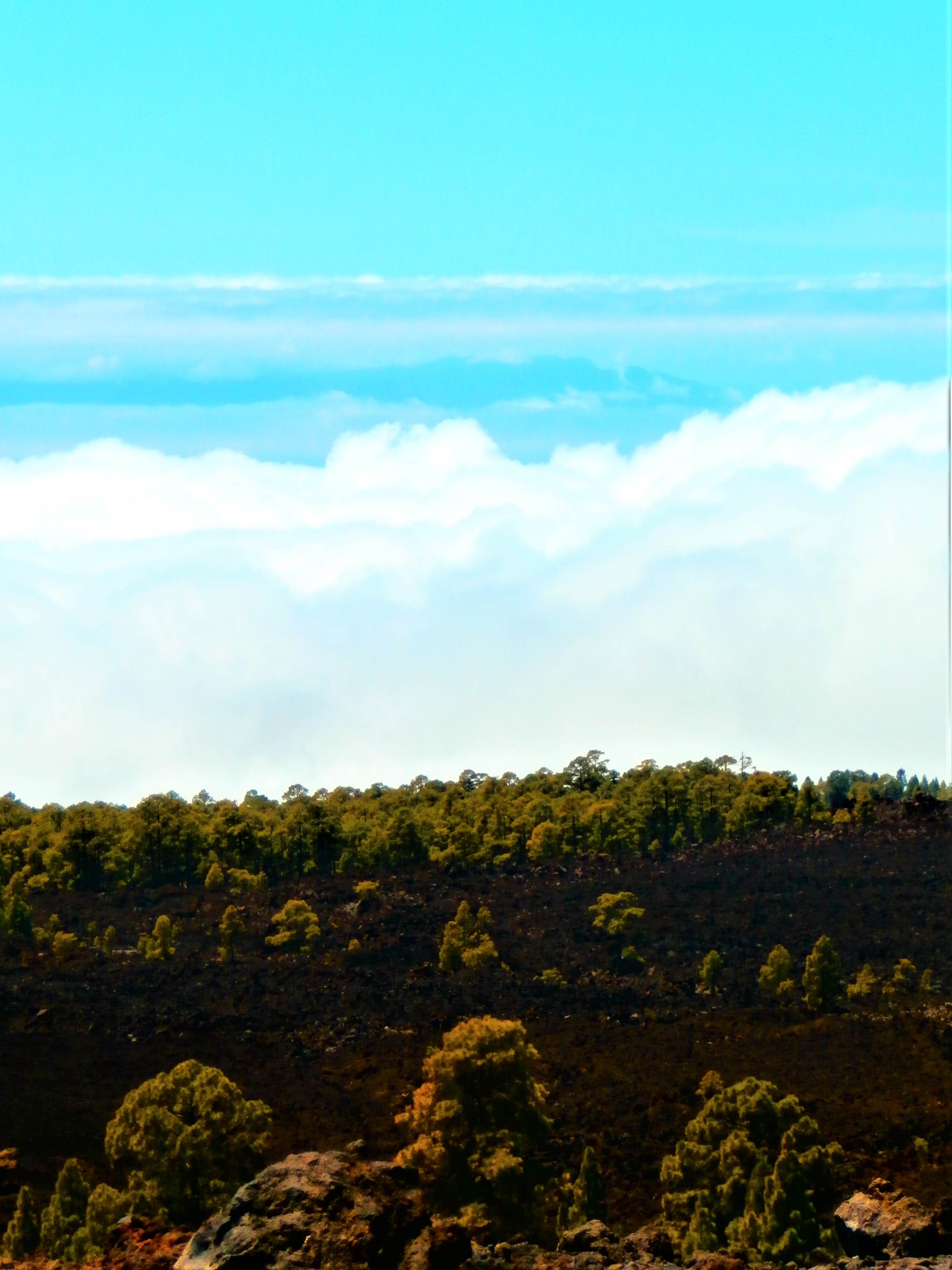 Boven de wolken, op weg naar de hoger gelegen gebieden van El Teide  -  foto Enigma