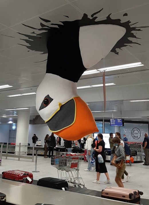 De Puffin in de bagagehal op het vliegveld van Reykjavik (eigen foto)